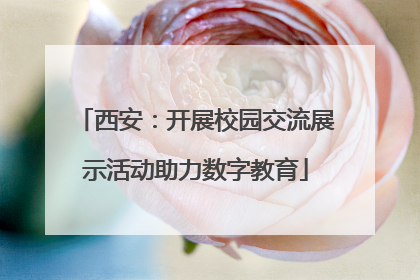 西安：开展校园交流展示活动助力数字教育
