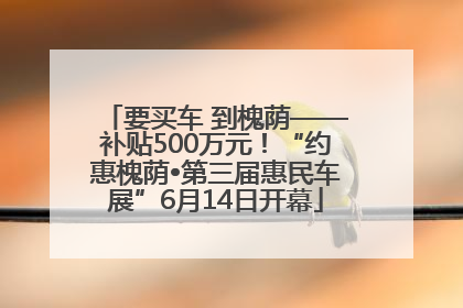 要买车 到槐荫——补贴500万元！“约惠槐荫•第三届惠民车展”6月14日开幕