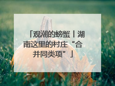 观潮的螃蟹丨湖南这里的村庄“合并同类项”