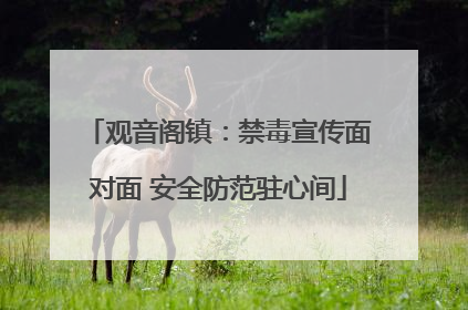 观音阁镇：禁毒宣传面对面 安全防范驻心间