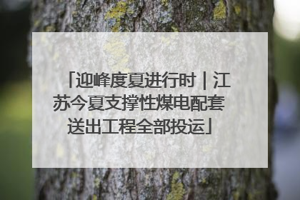 迎峰度夏进行时｜江苏今夏支撑性煤电配套送出工程全部投运
