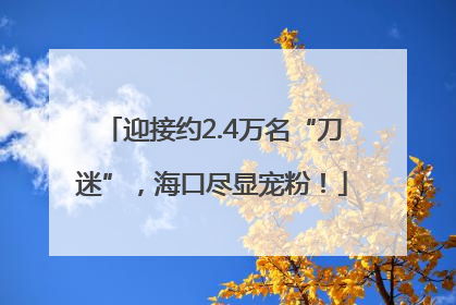 迎接约2.4万名“刀迷”，海口尽显宠粉！