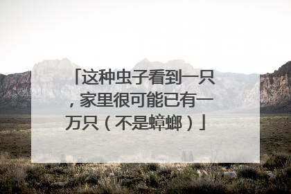 这种虫子看到一只，家里很可能已有一万只（不是蟑螂）