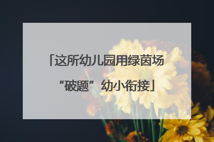这所幼儿园用绿茵场“破题”幼小衔接