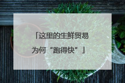 这里的生鲜贸易为何“跑得快”