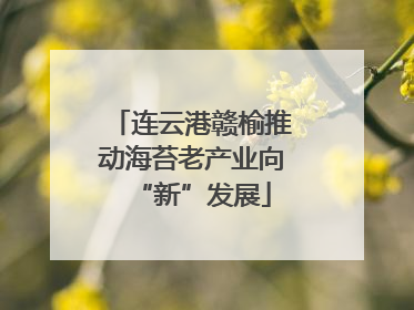 连云港赣榆推动海苔老产业向“新”发展