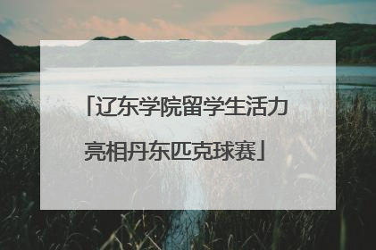 辽东学院留学生活力亮相丹东匹克球赛
