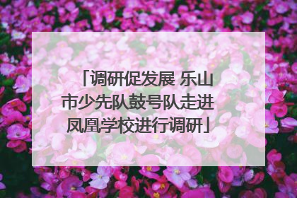 调研促发展 乐山市少先队鼓号队走进凤凰学校进行调研