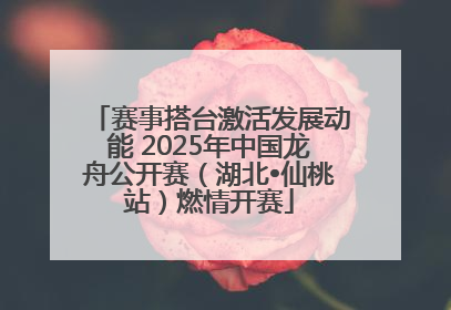 赛事搭台激活发展动能 2025年中国龙舟公开赛（湖北•仙桃站）燃情开赛