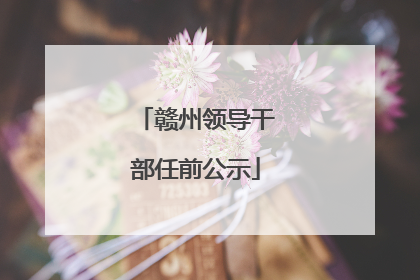 赣州领导干部任前公示