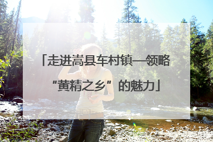 走进嵩县车村镇—领略“黄精之乡”的魅力