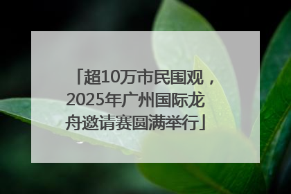 超10万市民围观，2025年广州国际龙舟邀请赛圆满举行