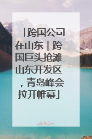 跨国公司在山东｜跨国巨头抢滩山东开发区，青岛峰会拉开帷幕
