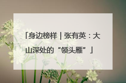 身边榜样｜张有英：大山深处的“领头雁”
