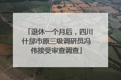 退休一个月后，四川什邡市原三级调研员冯伟接受审查调查