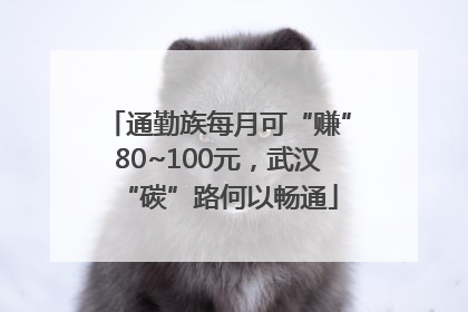 通勤族每月可“赚”80~100元，武汉“碳”路何以畅通