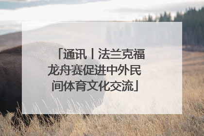 通讯丨法兰克福龙舟赛促进中外民间体育文化交流
