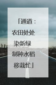 通道：农田处处染新绿 制种水稻移栽忙