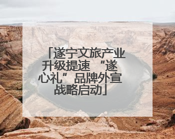 遂宁文旅产业升级提速 “遂心礼”品牌外宣战略启动