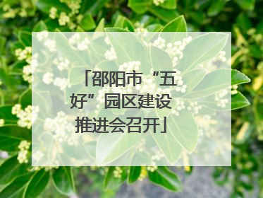 邵阳市“五好”园区建设推进会召开