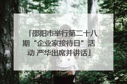 邵阳市举行第二十八期“企业家接待日”活动 严华出席并讲话