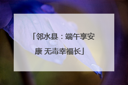 邻水县：端午享安康 无毒幸福长