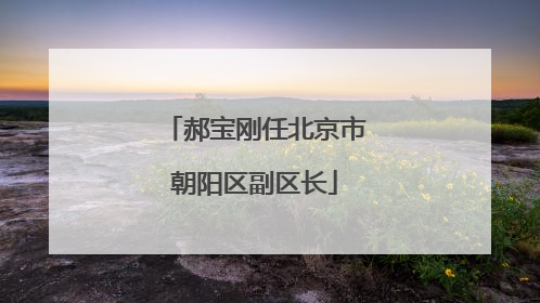 郝宝刚任北京市朝阳区副区长