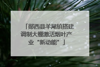 郧西县羊尾镇搭建调制大棚激活烟叶产业“新动能”