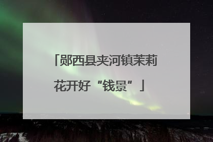 郧西县夹河镇茉莉花开好“钱景”
