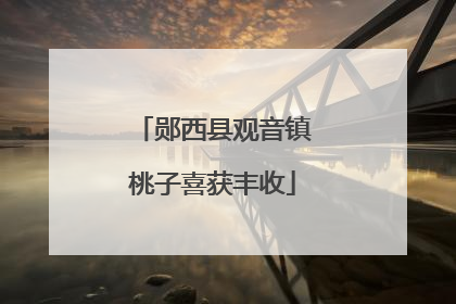郧西县观音镇桃子喜获丰收