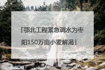 鄂北工程紧急调水为枣阳150万亩小麦解渴