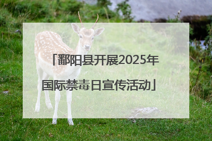 鄱阳县开展2025年国际禁毒日宣传活动