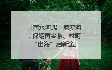 酉水河遇上尼罗河：保靖黄金茶、村厨“出海”启新途