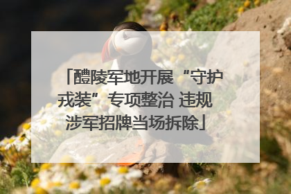 醴陵军地开展“守护戎装”专项整治 违规涉军招牌当场拆除