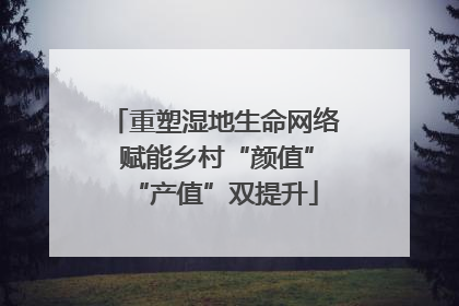 重塑湿地生命网络 赋能乡村“颜值”“产值”双提升