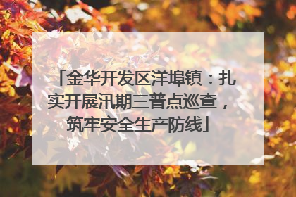金华开发区洋埠镇：扎实开展汛期三普点巡查，筑牢安全生产防线