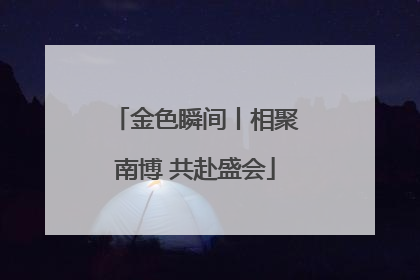 金色瞬间丨相聚南博 共赴盛会