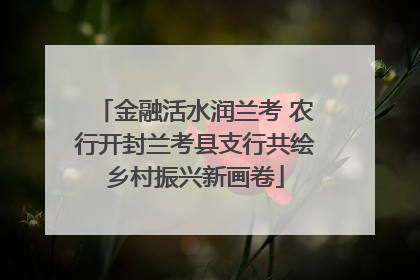 金融活水润兰考 农行开封兰考县支行共绘乡村振兴新画卷