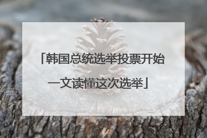 韩国总统选举投票开始 一文读懂这次选举