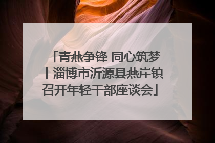 青燕争锋 同心筑梦丨淄博市沂源县燕崖镇召开年轻干部座谈会