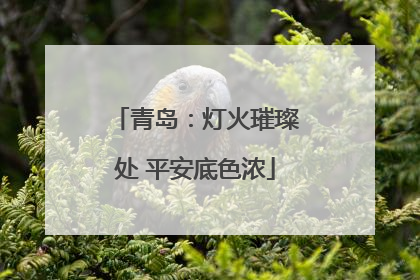 青岛：灯火璀璨处 平安底色浓