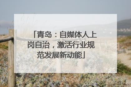 青岛：自媒体人上岗自治，激活行业规范发展新动能