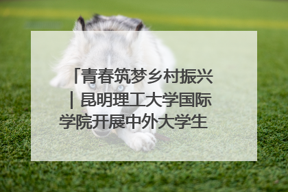青春筑梦乡村振兴｜昆明理工大学国际学院开展中外大学生社会实践活动