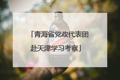 青海省党政代表团赴天津学习考察