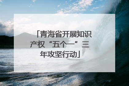青海省开展知识产权“五个一”三年攻坚行动