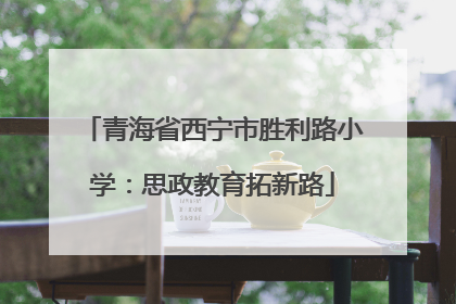 青海省西宁市胜利路小学：思政教育拓新路