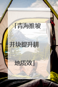青海推坡并块提升耕地质效