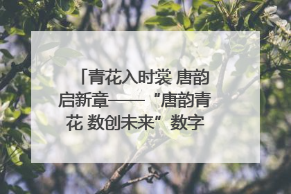 青花入时裳 唐韵启新章——“唐韵青花 数创未来”数字文创设计大赛启幕