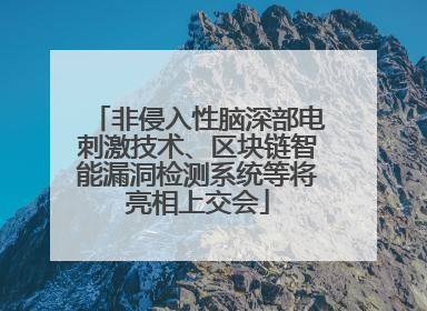 非侵入性脑深部电刺激技术、区块链智能漏洞检测系统等将亮相上交会