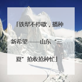 铁犁不停歇，播种新希望——山东“三夏”抢收抢种忙